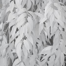 Декоративная ветвь, 165 см, изображение 4 ᐒ купить на  ❤ Like7km.com.ua