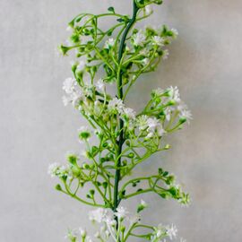 Искусственная гирлянда "Гипсофила", 180 см, изображение 3 ᐒ купить на  ❤ Like7km.com.ua