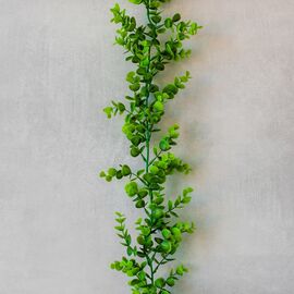 Искусственная гирлянда "Эвкалипт", 180 см, изображение 2 ᐒ купить на  ❤ Like7km.com.ua