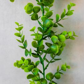 Искусственная гирлянда "Эвкалипт", 180 см, изображение 3 ᐒ купить на  ❤ Like7km.com.ua