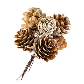 Декор "Белкины шишки", изображение 2 ᐒ купить на  ❤ Like7km.com.ua