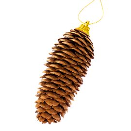 Декор "Оригинальные шишки", изображение 2 ᐒ купить на  ❤ Like7km.com.ua