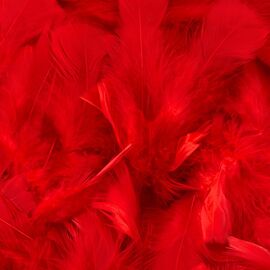 Декоративные перья, черные YOO-HOO!, изображение 2 ᐒ купить на  ❤ Like7km.com.ua