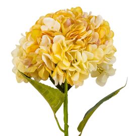 Гортензия "Анабель", желтая, 57 см, изображение 2 ᐒ купить на  ❤ Like7km.com.ua