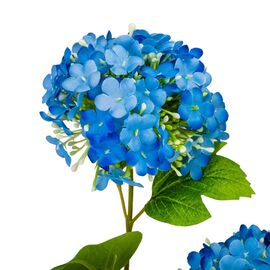 Гортензия "Аура", голубая, 80 см, изображение 3 ᐒ купить на  ❤ Like7km.com.ua