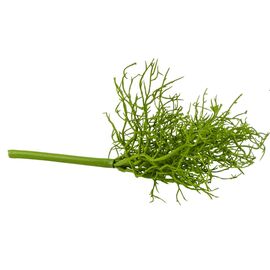 Каркас для букета (пластик, 28 см), изображение 2 ᐒ купить на  ❤ Like7km.com.ua