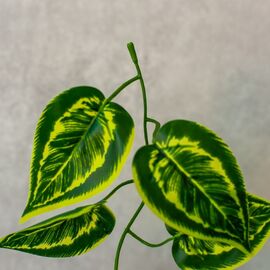 Гирлянда "Лиана", 190 см, изображение 3 ᐒ купить на  ❤ Like7km.com.ua