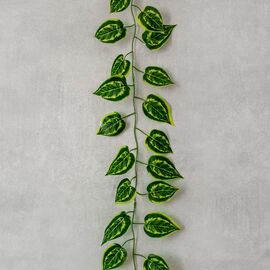 Гирлянда "Лиана", 190 см, изображение 4 ᐒ купить на  ❤ Like7km.com.ua