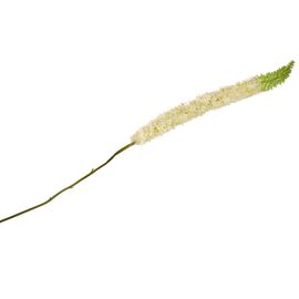 Дельфиниум (150 см), изображение 2 ᐒ купить на  ❤ Like7km.com.ua