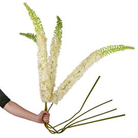 Дельфиниум (150 см), изображение 3 ᐒ купить на  ❤ Like7km.com.ua