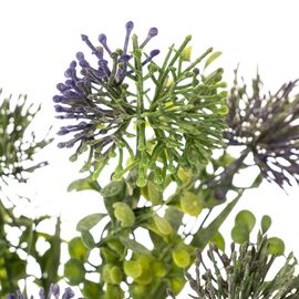 Цветок Аллиум фиолетовый, изображение 2 ᐒ купить на  ❤ Like7km.com.ua