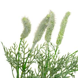 Декоративная веточка, зеленая, изображение 2 ᐒ купить на  ❤ Like7km.com.ua