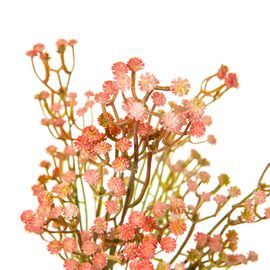 Искусственная зелень, розовая, изображение 2 ᐒ купить на  ❤ Like7km.com.ua