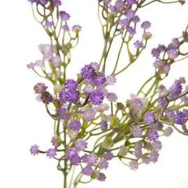 Искусственная зелень, фиолетовая, изображение 2 ᐒ купить на  ❤ Like7km.com.ua