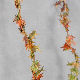 Гирлянда "Листья"  3 м, изображение 3 ᐒ купить на  ❤ Like7km.com.ua