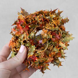 Гирлянда "Листья"  3 м, изображение 4 ᐒ купить на  ❤ Like7km.com.ua