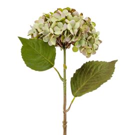 Цветок искусственный "Гортензия салатовая", изображение 2 ᐒ купить на  ❤ Like7km.com.ua