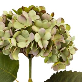 Цветок искусственный "Гортензия салатовая", изображение 3 ᐒ купить на  ❤ Like7km.com.ua