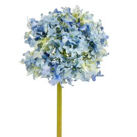 Цветок  "Гортензия шаровидная" синяя, изображение 2 ᐒ купить на  ❤ Like7km.com.ua
