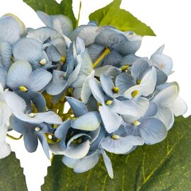 Букет "Гортензия крупнолистная" аква, изображение 3 ᐒ купить на  ❤ Like7km.com.ua