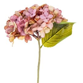 Цветы "Гортензия пастельная", изображение 2 ᐒ купить на  ❤ Like7km.com.ua