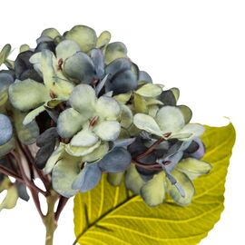 Цветы "Гортензия голубая", изображение 3 ᐒ купить на  ❤ Like7km.com.ua