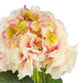 Цветок искусственный "Гортензия двухцветная", изображение 3 ᐒ купить на  ❤ Like7km.com.ua