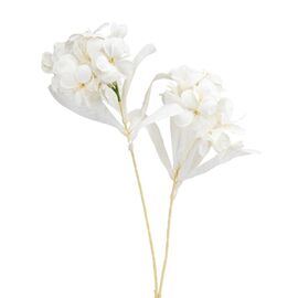 Ветка гортензии, белая, изображение 2 ᐒ купить на  ❤ Like7km.com.ua