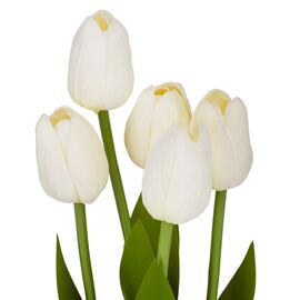 Букет тюльпанов "Рапсодия", кремовый, 25,5 см, изображение 2 ᐒ купить на  ❤ Like7km.com.ua