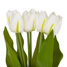 Букет тюльпанов "Красочность", белый, 40 см, изображение 2 ᐒ купить на  ❤ Like7km.com.ua