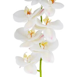 Искусственная орхидея, белая, 75 см, изображение 3 ᐒ купить на  ❤ Like7km.com.ua