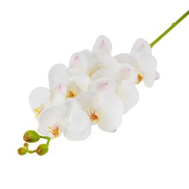 Искусственная орхидея, белая, 75 см, изображение 4 ᐒ купить на  ❤ Like7km.com.ua