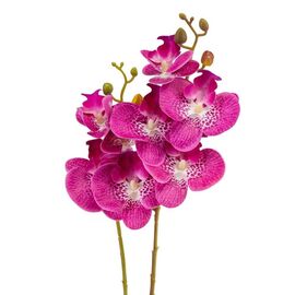 Орхидея 56 см. * Рандомный выбор дизайна, изображение 8 ᐒ купить на  ❤ Like7km.com.ua