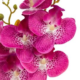 Орхидея 56 см. * Рандомный выбор дизайна, изображение 9 ᐒ купить на  ❤ Like7km.com.ua