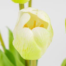 Букет латексных тюльпанов, 7 бутонов, бело-зеленый, 48 см, изображение 3 ᐒ купить на  ❤ Like7km.com.ua