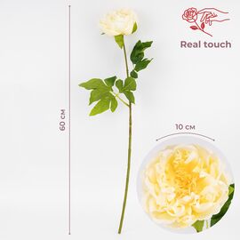 Искусственный пион с эффектом живого прикосновения, кремовый, 60 см, изображение 4 ᐒ купить на  ❤ Like7km.com.ua