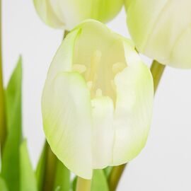 Букет латексных тюльпанов, 5 бутонов, бело-зеленый, 45 см, изображение 3 ᐒ купить на  ❤ Like7km.com.ua