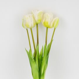 Букет латексных тюльпанов, 5 бутонов, бело-зеленый, 49 см, изображение 2 ᐒ купить на  ❤ Like7km.com.ua