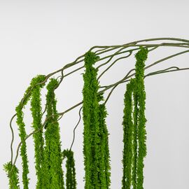 Искусственная свисающая ветка "Амарант", зеленая, 180 см, изображение 4 ᐒ купить на  ❤ Like7km.com.ua