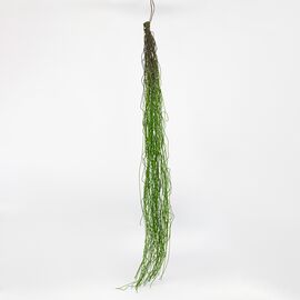 Искусственная свисающая ветка "Тонкие нити", зеленая, 105 см, изображение 2 ᐒ купить на  ❤ Like7km.com.ua