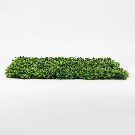 Фитомодуль искусственный "Самшит", 50*50 cм, изображение 3 ᐒ купить на  ❤ Like7km.com.ua