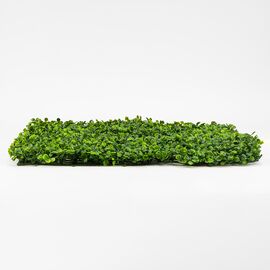 Фитомодуль искусственный "Самшит", 50*50 cм, изображение 3 ᐒ купить на  ❤ Like7km.com.ua