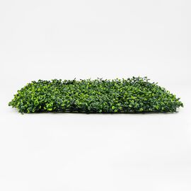 Фитомодуль искусственный "Самшит", 50*50 cм, изображение 3 ᐒ купить на  ❤ Like7km.com.ua