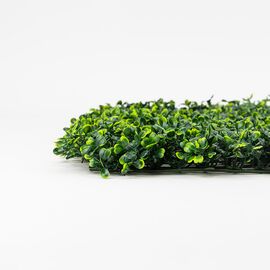Фитомодуль искусственный "Самшит", 50*50 cм, изображение 4 ᐒ купить на  ❤ Like7km.com.ua