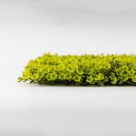 Искусственный фитомодуль "Самшит", 60*41 см СПАСЕННАЯ ПОЗИЦИЯ, изображение 4 ᐒ купить на  ❤ Like7km.com.ua