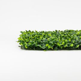 Фитомодуль искусственный "Самшит", 50*50 cм, изображение 4 ᐒ купить на  ❤ Like7km.com.ua