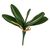 Листья орхидеи 21 см ᐒ купить на  ❤ Like7km.com.ua