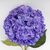 Искусственная гортензия, синяя, 93 см, изображение 3 ᐒ купить на  ❤ Like7km.com.ua