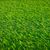 Искусственная трава, 1 кв. м., изображение 5 ᐒ купить на  ❤ Like7km.com.ua