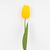 Искусственный тюльпан с эффектом живого прикосновения, желтый, 45 см, изображение 2 ᐒ купить на  ❤ Like7km.com.ua